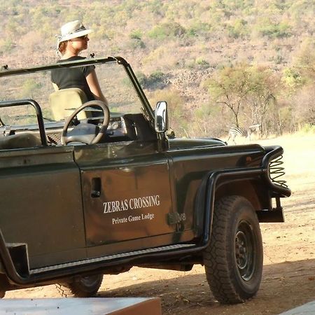 Zebras Crossing Private Game Lodge Модімолле Екстер'єр фото