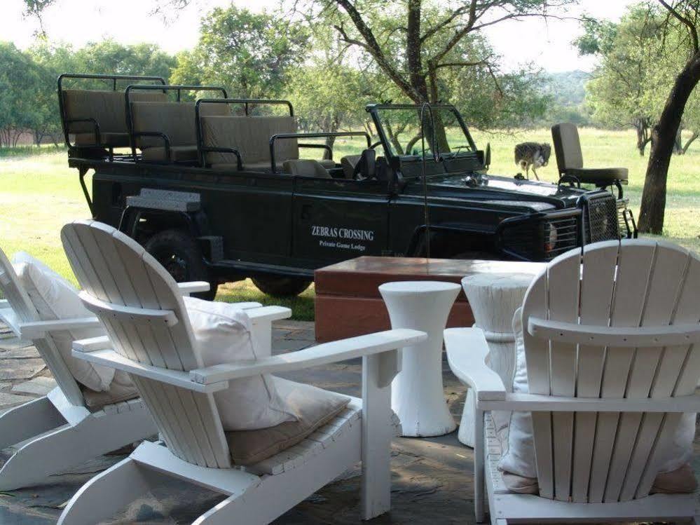 Zebras Crossing Private Game Lodge Модімолле Екстер'єр фото