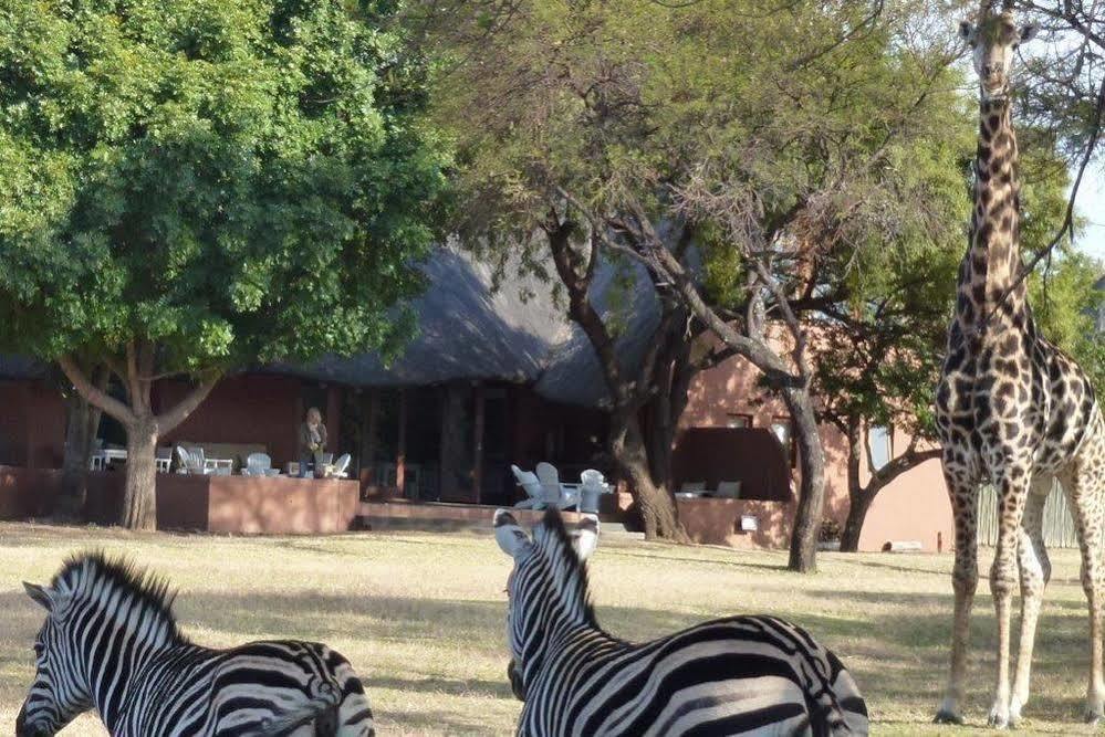 Zebras Crossing Private Game Lodge Модімолле Екстер'єр фото