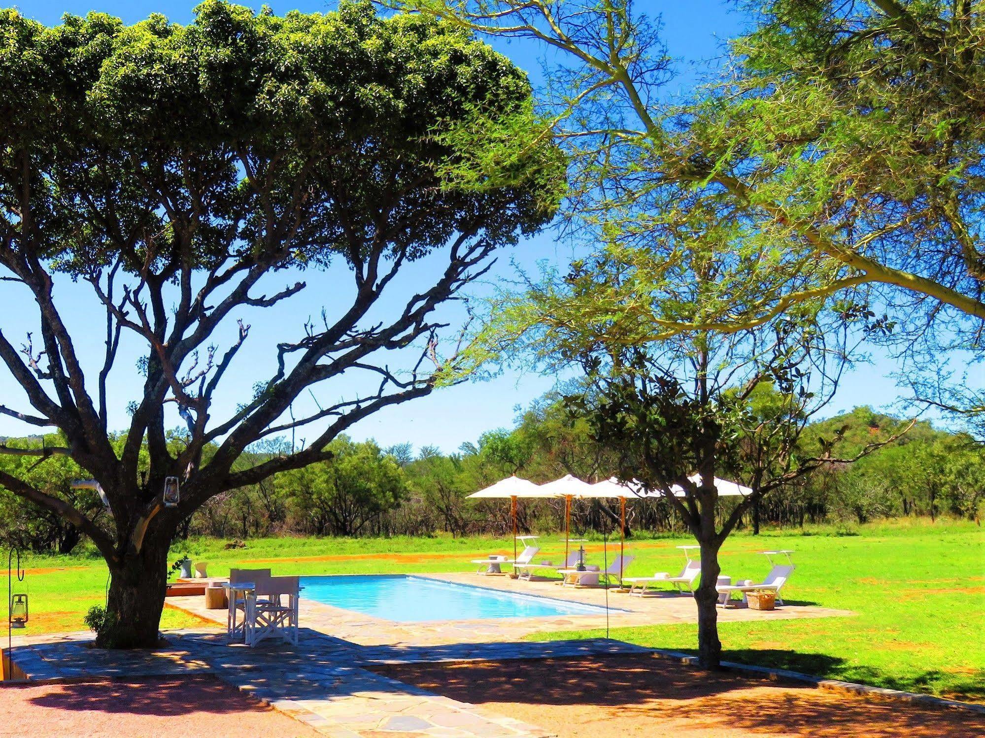 Zebras Crossing Private Game Lodge Модімолле Екстер'єр фото