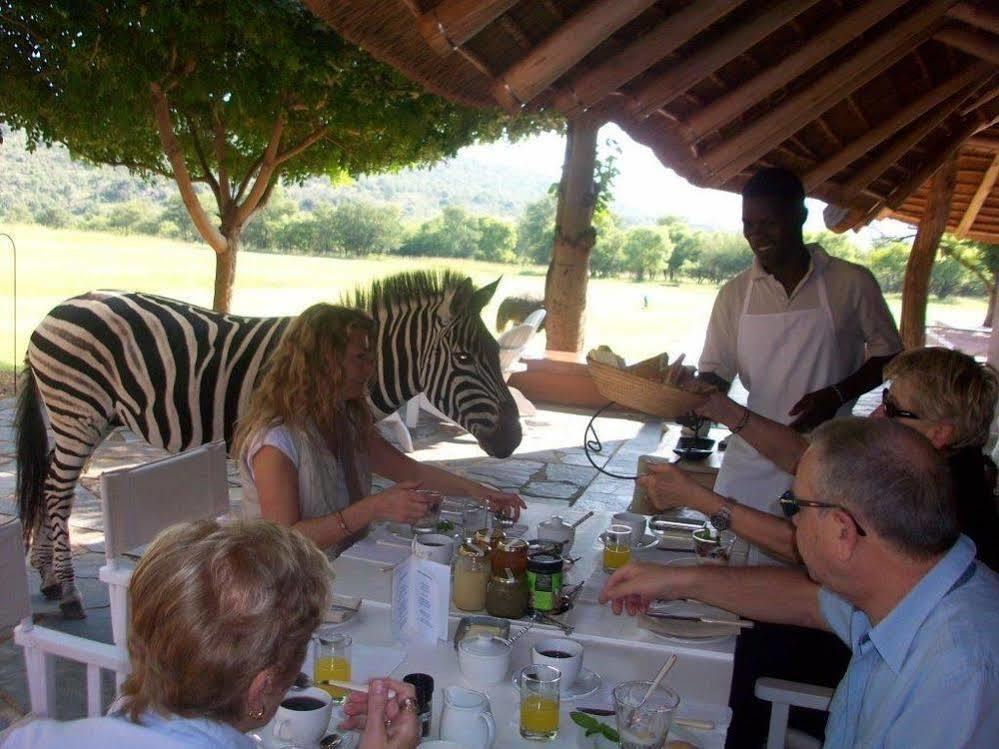 Zebras Crossing Private Game Lodge Модімолле Екстер'єр фото
