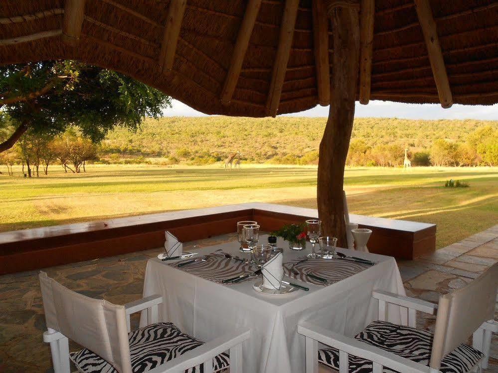 Zebras Crossing Private Game Lodge Модімолле Екстер'єр фото