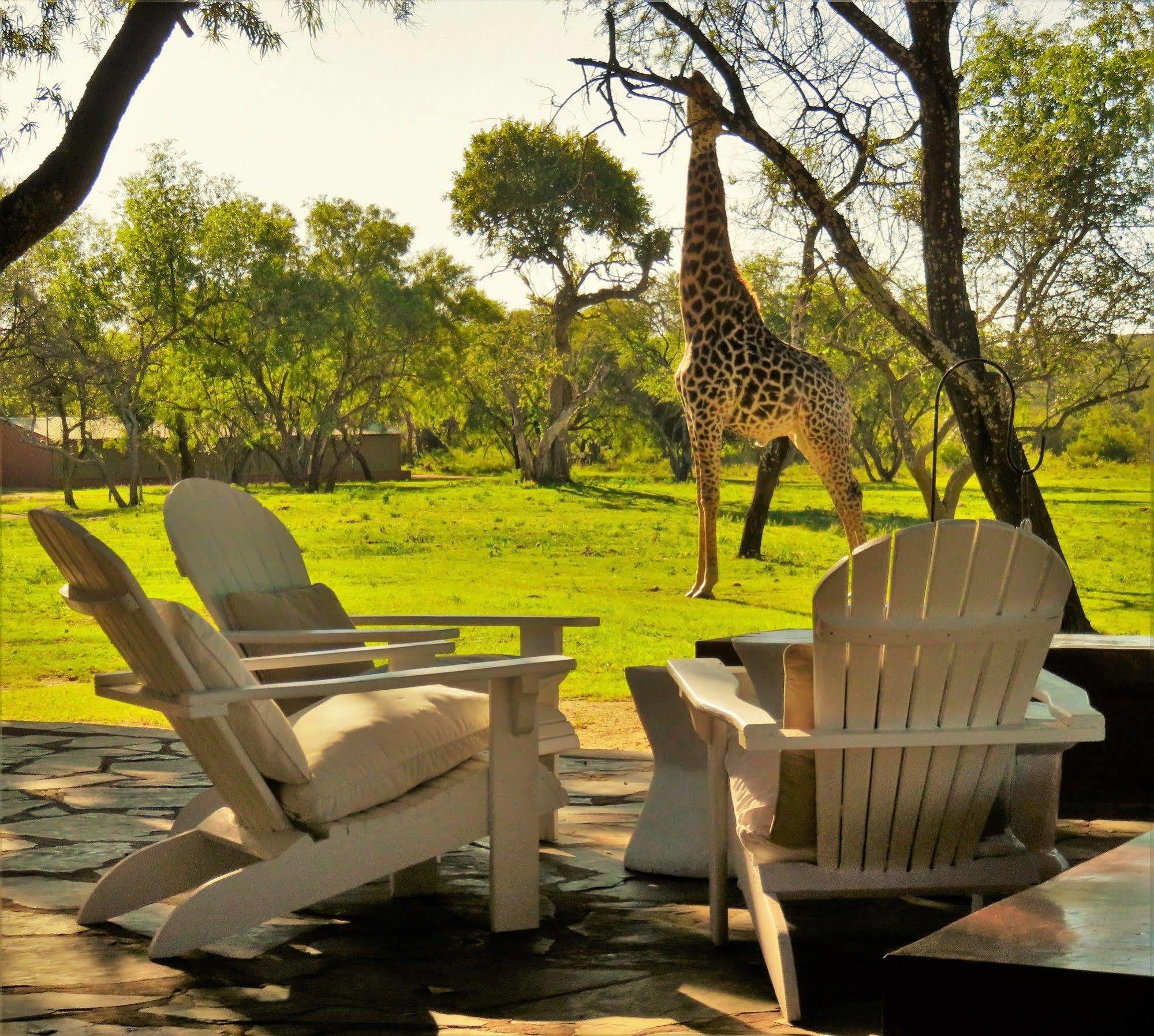 Zebras Crossing Private Game Lodge Модімолле Екстер'єр фото